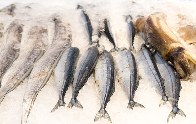 水產(chǎn)品零售